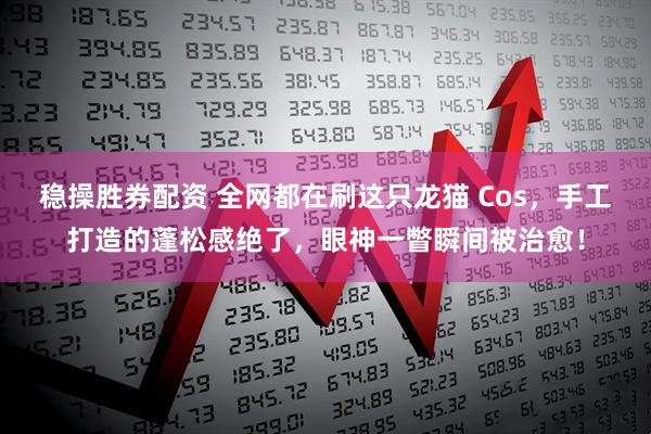 稳操胜券配资 全网都在刷这只龙猫 Cos，手工打造的蓬松感绝了，眼神一瞥瞬间被治愈！