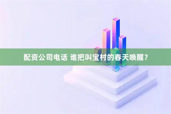 配资公司电话 谁把叫宝村的春天唤醒？