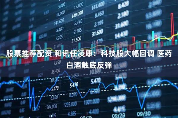 股票推荐配资 和讯任凌康：科技股大幅回调 医药白酒触底反弹