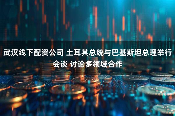 武汉线下配资公司 土耳其总统与巴基斯坦总理举行会谈 讨论多领域合作