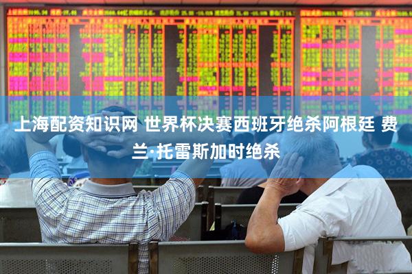 上海配资知识网 世界杯决赛西班牙绝杀阿根廷 费兰·托雷斯加时绝杀