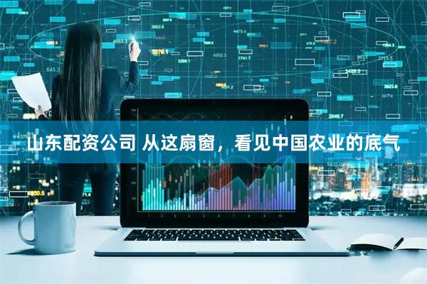 山东配资公司 从这扇窗,看见中国农业的底气